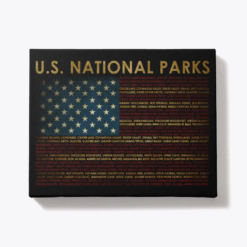 Vintage US Parks US Flag National Parks