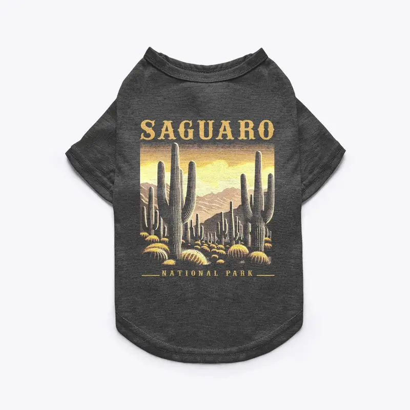 Saguaro National Park Adventure